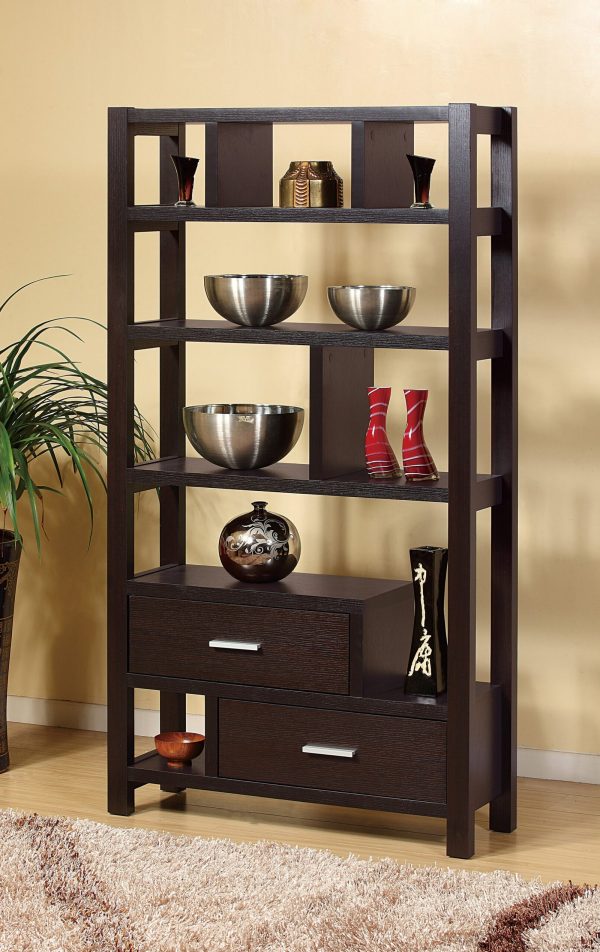 Red Cocoa Bookcase with 5 Shelves, 2 Drawers, and Metal Bar Handles for Modern Storage (BC-4909 RC)