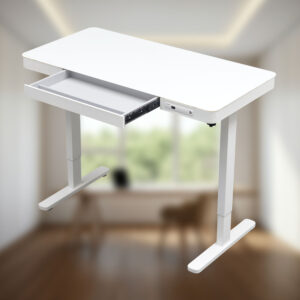 Electric Standing Desk with Storage & USB Ports Adjustable Height 48'' Built-in Drawer (DSK830030WHT)