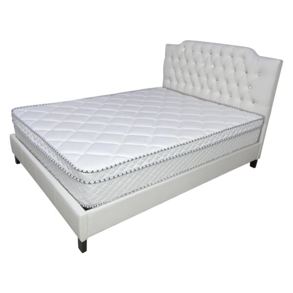 12-Inch Euro Top Hybrid Pocket Coil and Memory Foam Mattress (MPS1202)