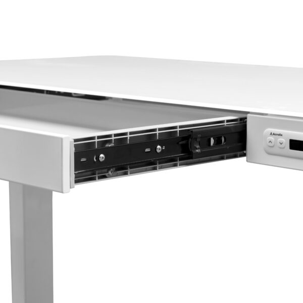 Electric Standing Desk with Storage & USB Ports Adjustable Height 48'' Built-in Drawer (XYL-830)