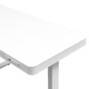 Electric Standing Desk with Storage & USB Ports Adjustable Height 48'' Built-in Drawer (XYL-830)