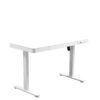 Electric Standing Desk with Storage & USB Ports Adjustable Height 48'' Built-in Drawer (XYL-830)