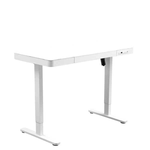 Electric Standing Desk with Storage & USB Ports Adjustable Height 48'' Built-in Drawer (XYL-830)