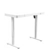 Electric Standing Desk with Storage & USB Ports Adjustable Height 48'' Built-in Drawer (XYL-830)