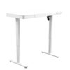 Electric Standing Desk with Storage & USB Ports Adjustable Height 48'' Built-in Drawer (XYL-830)