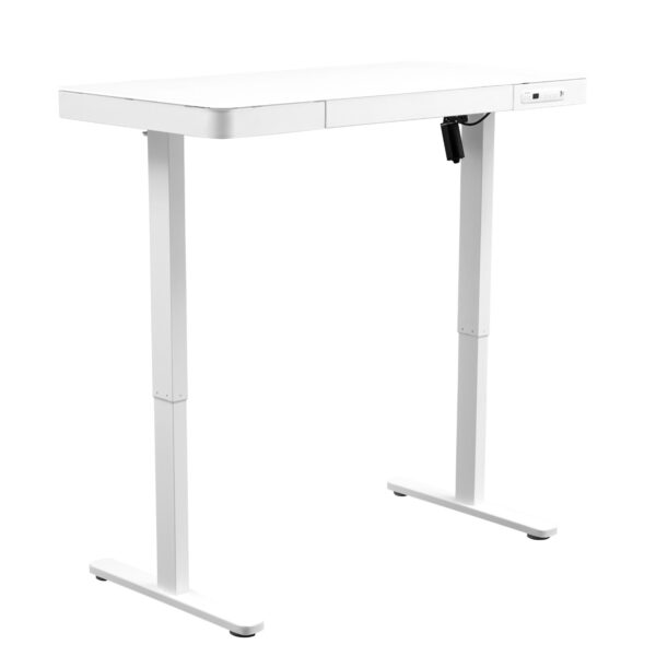 Electric Standing Desk with Storage & USB Ports Adjustable Height 48'' Built-in Drawer (XYL-830)