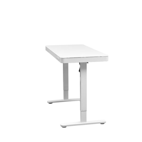 Electric Standing Desk with Storage & USB Ports Adjustable Height 48'' Built-in Drawer (XYL-830)