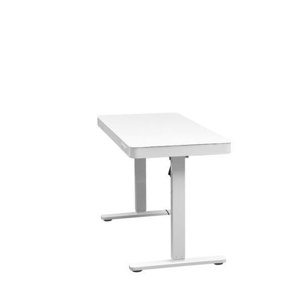 Electric Standing Desk with Storage & USB Ports Adjustable Height 48'' Built-in Drawer (XYL-830)