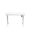 Electric Standing Desk with Storage & USB Ports Adjustable Height 48'' Built-in Drawer (XYL-830)