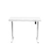 Electric Standing Desk with Storage & USB Ports Adjustable Height 48'' Built-in Drawer (XYL-830)