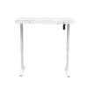 Electric Standing Desk with Storage & USB Ports Adjustable Height 48'' Built-in Drawer (XYL-830)