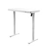 Electric Standing Desk with Storage & USB Ports Adjustable Height 48'' Built-in Drawer (XYL-830)