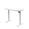 Electric Standing Desk with Storage & USB Ports Adjustable Height 48'' Built-in Drawer (XYL-830)