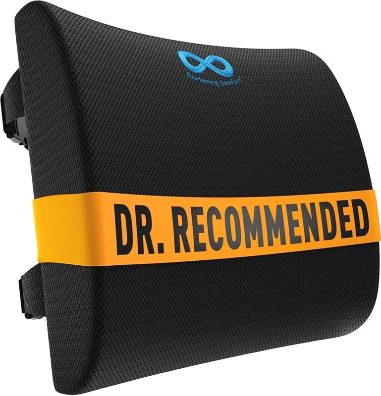 Everlasting Comfort Memory Foam Lumbar Support Cushion for Sofa: Promo