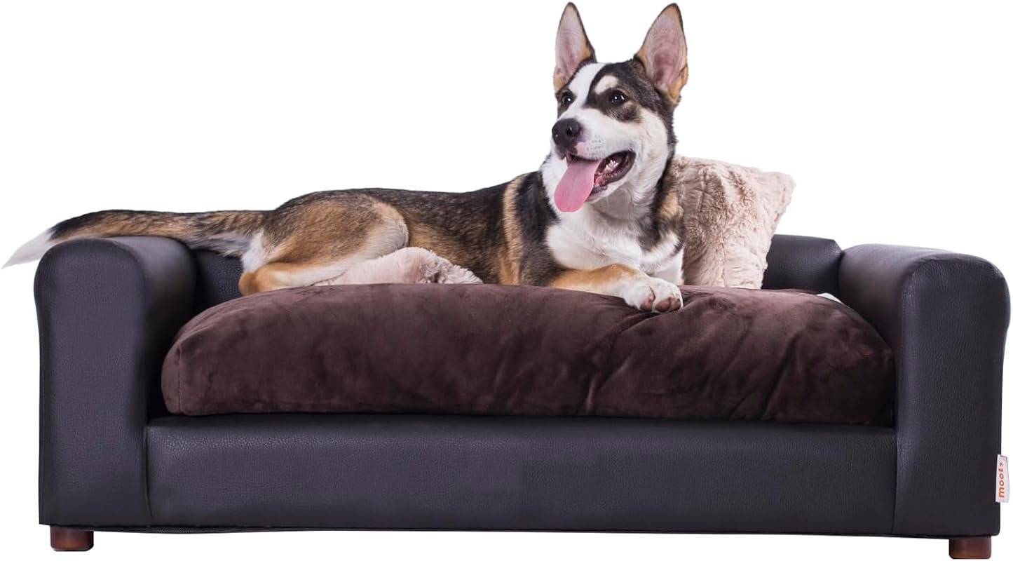 Moots Leatherette Pet Sofa: A Durable and Stylish Couch for Medium to 
