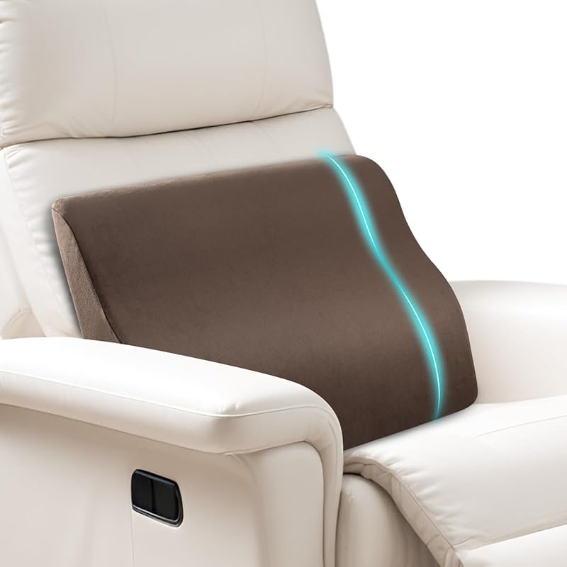 SofGlowly Large Memory Foam Lumbar Support Cushion for Sofa: Ergonomic