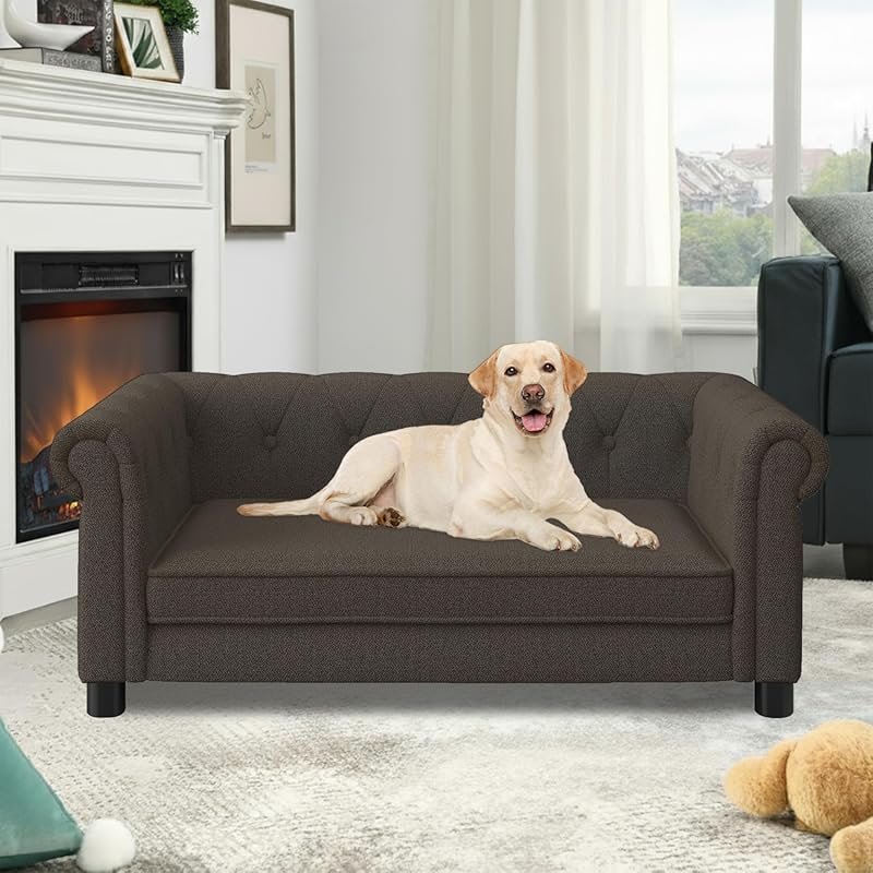 Durable Elevated Dog Sofa for Medium to Large Dogs: Memory Foam, Washa