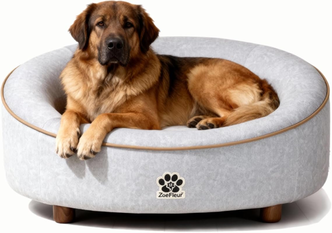 Modern Dog Sofa Couch for Medium to Large Dogs with Memory Foam and Wo